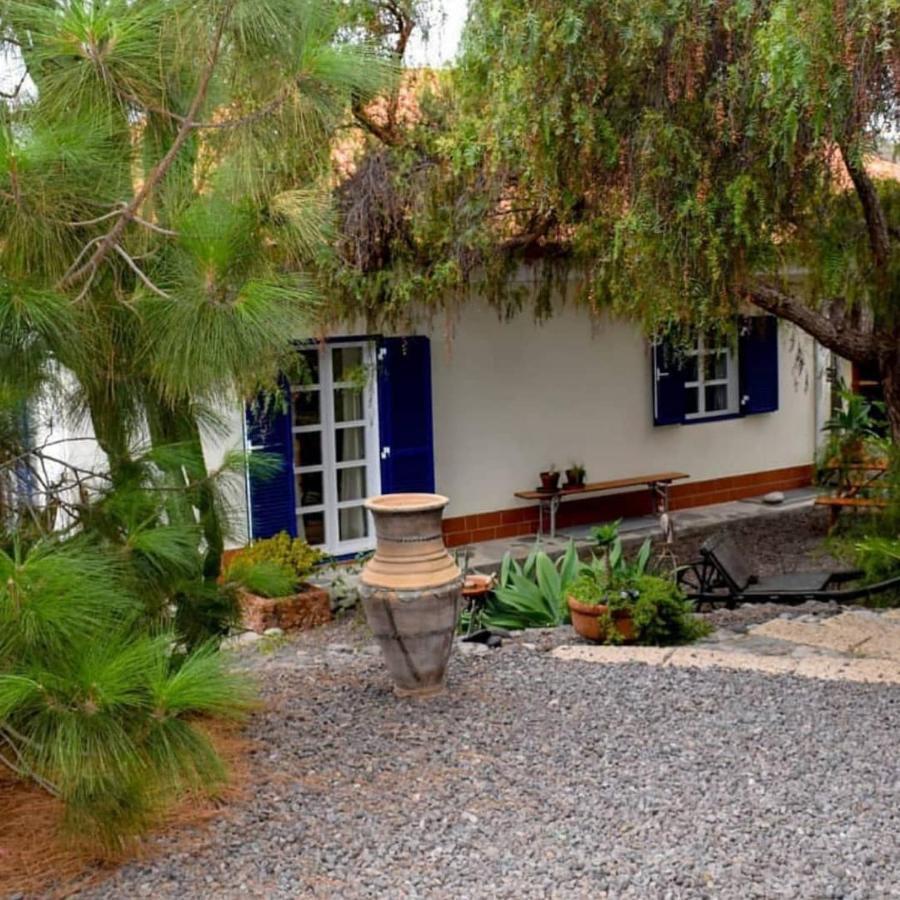 Stilvolle Villa in Teneriffa Süd Arona  Exterior foto