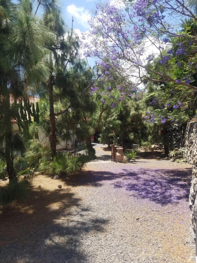 Stilvolle Villa in Teneriffa Süd Arona  Exterior foto